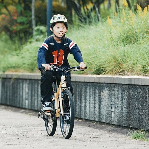 RITEWAY ( ライトウェイ ) キッズバイク ZIT 22 ( ジット 22 ) マット