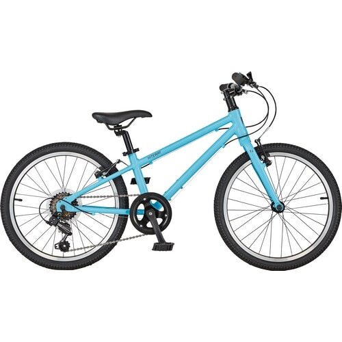 RITEWAY ( ライトウェイ ) キッズバイク ZIT 20 ( ジット 20 ) マット