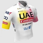 PISSEI ( ピセイ ) 半袖ジャージ SHORT SLEEVE JERSEY UAE TEAM