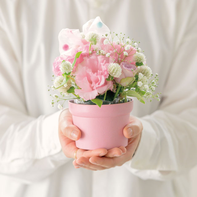 無地ﾊﾞﾝﾌﾞｰﾎﾟｯﾄ-S/ﾋﾟﾝｸ(10個): フラワーベース・鉢カバー ｜ YDM