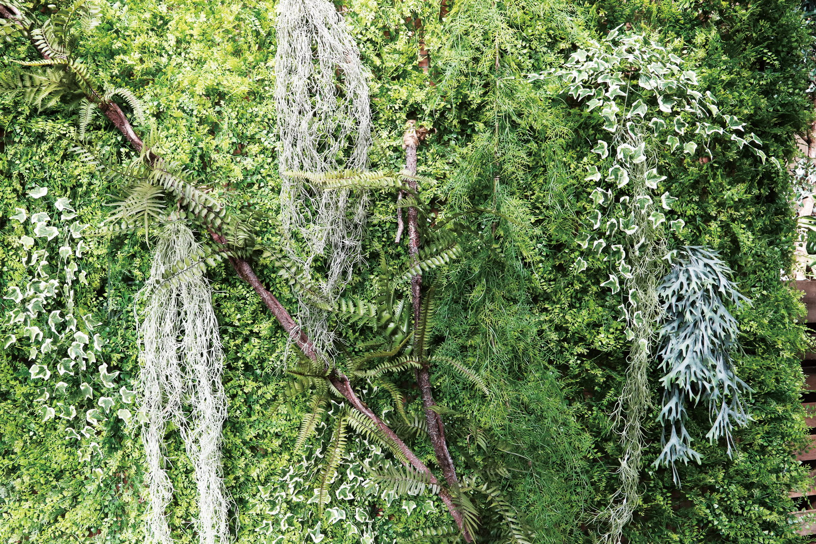 送料別途】オランダアイビーバイン W50×L88cm: フェイクグリーン