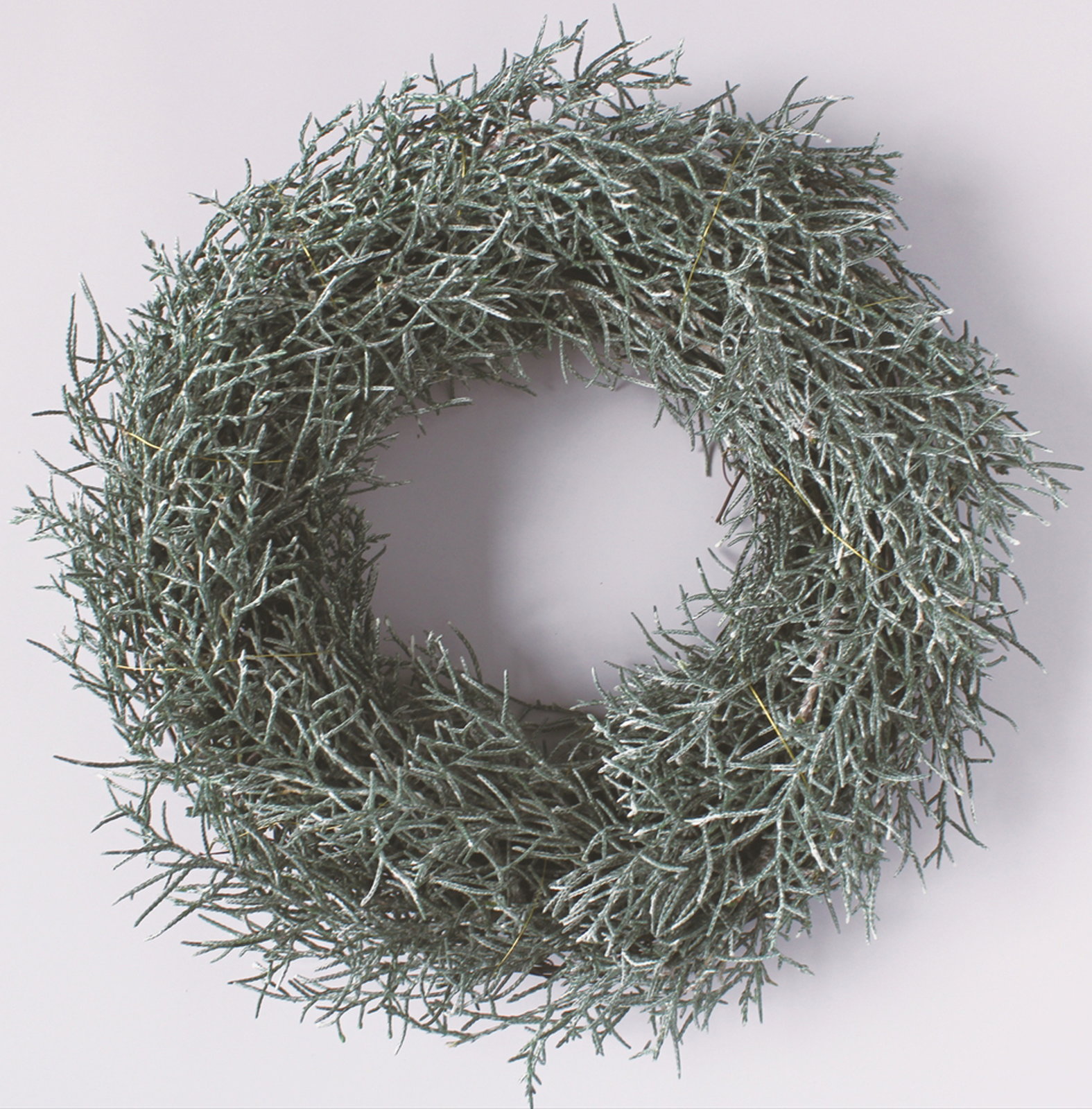 森のﾘｰｽ・ﾌﾞﾙｰｱｲｽ・Lｳｵｯｼｭﾎﾜｲﾄ: クリスマス雑貨 ｜ YDMオンライン