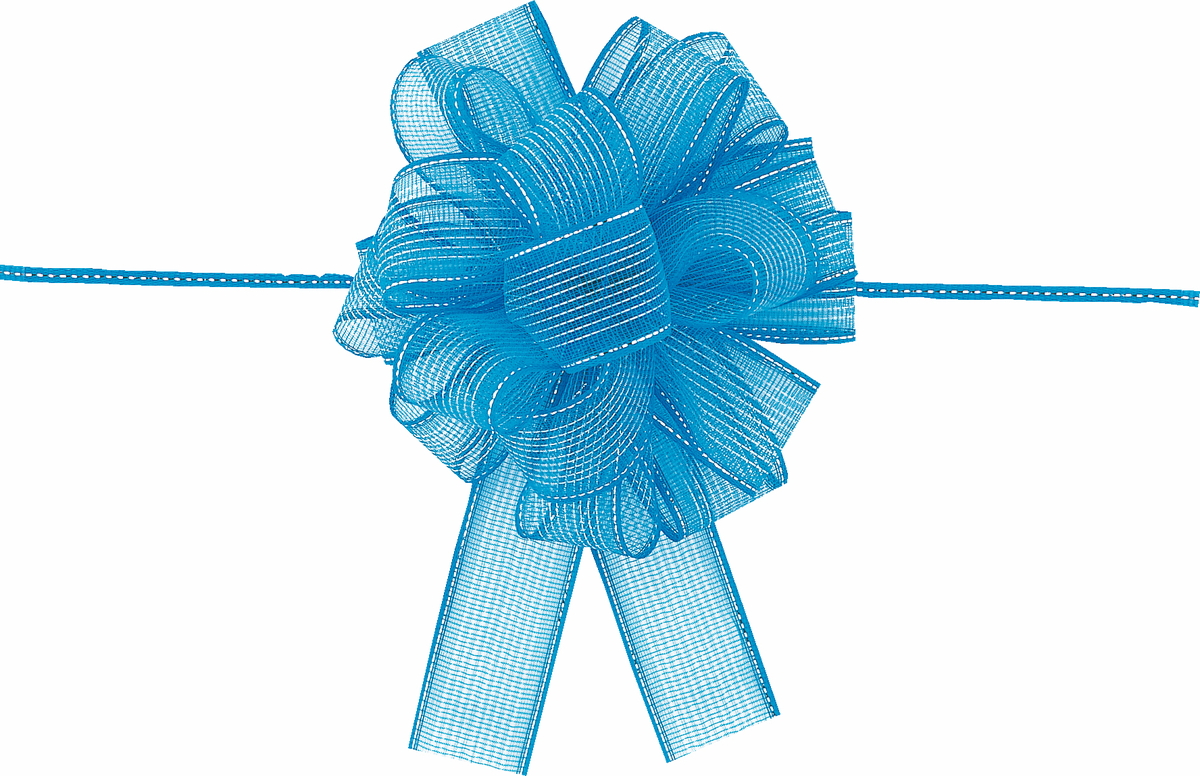 ﾜﾝﾀｯﾁﾘﾎﾞﾝ 24X20m 色番4: リボン ｜ YDMオンラインストア ｜ 横浜