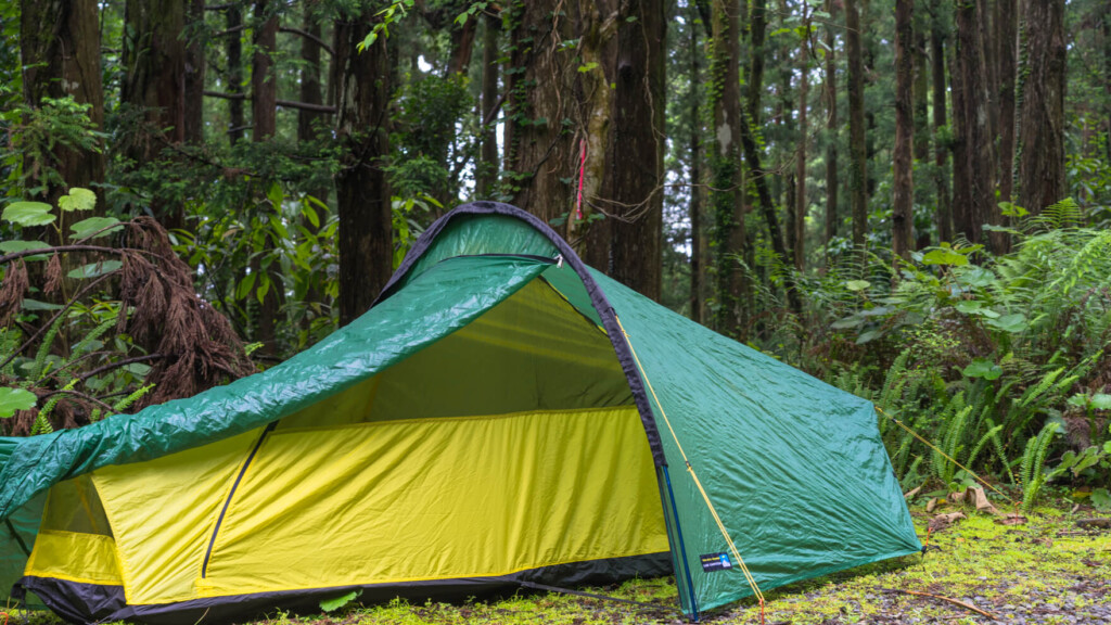 Review：TERRANOVA Laser Competition 1 アップデートを重ね続ける