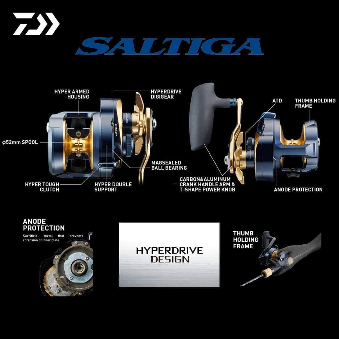 Daiwa Saltiga 2023 (Japan models) | Palmarius Outdoors