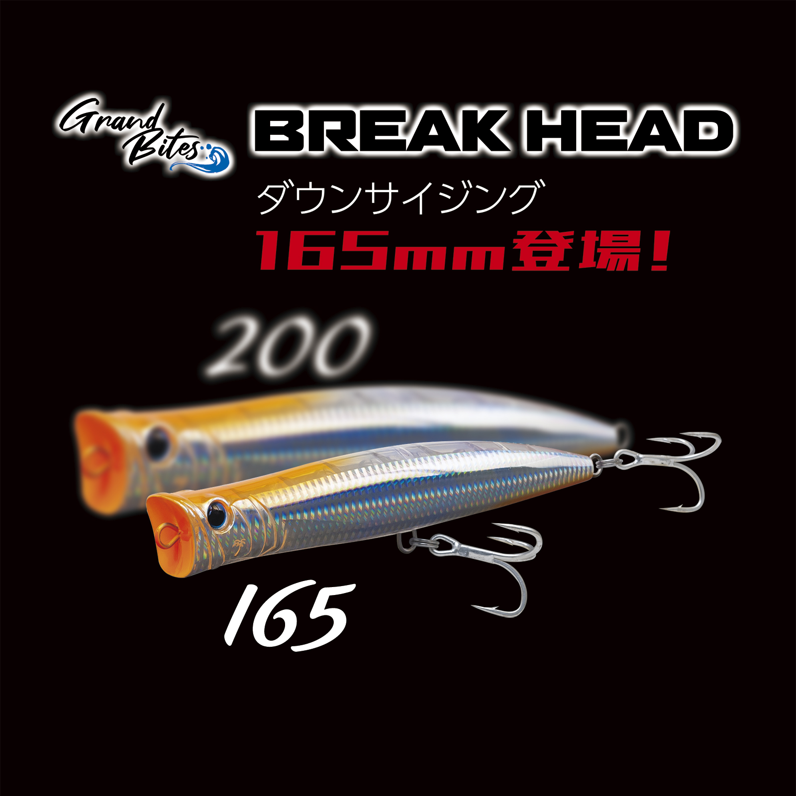 ブレイクヘッドに待望の165mmが登場！ - Information | Angler's Republic