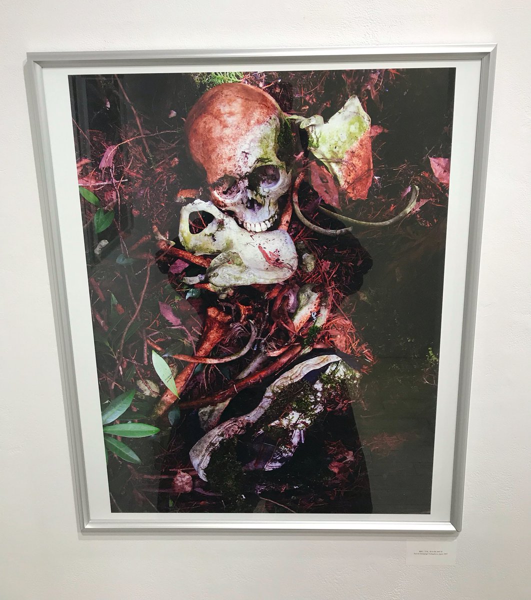 釣崎清隆さんの個展『Days of the Dead』に行ってきました。僕らの