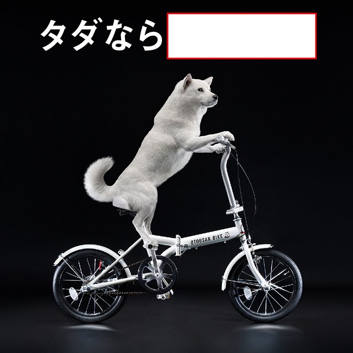 二時間弱もこの状態キープできないでしょ？仕事ってそういうことですよ