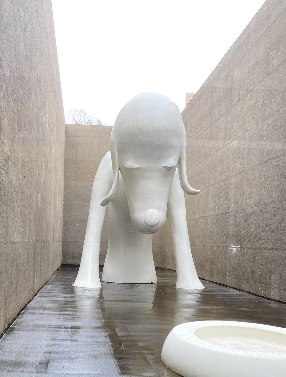 あおもり犬 Live！】 「あおもり犬」ライブカメラでテスト配信をしてい