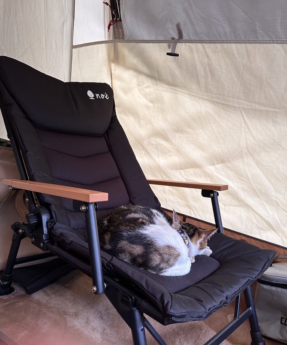 noé(ノア)公式 (@noe_official00) / Posts / X