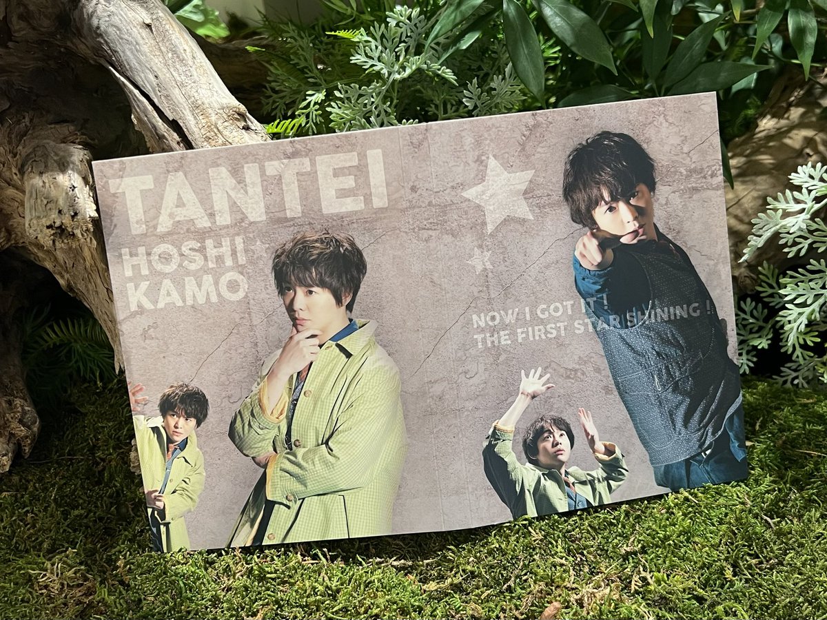 探偵星鴨 DVD&Blu-ray BOX🌟 12月15日(水)発売！ まもなく皆さんのもと