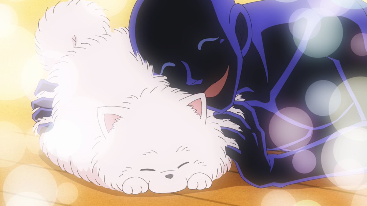 📺今夜『#犯人の犯沢さん』8話 ポメ太郎が登場！有能な