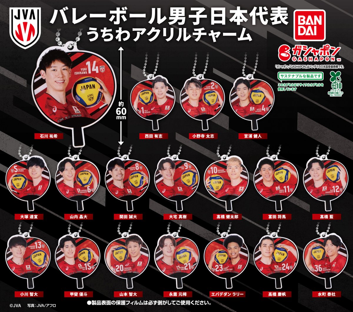 商品情報】 ／ バレーボール男子日本代表 うちわアクリルチャーム
