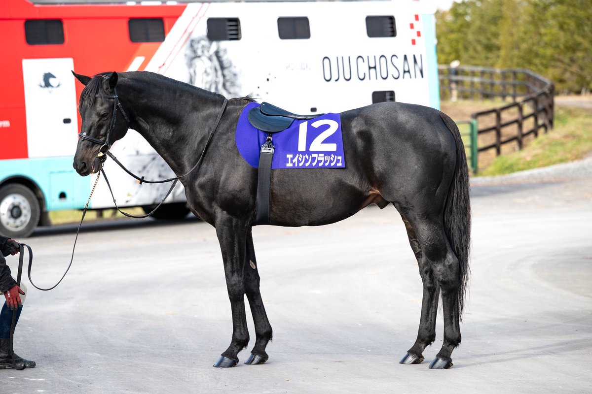 天皇賞・秋を思い出す、エイシンフラッシュの“12番ゼッケン”仕様で撮影