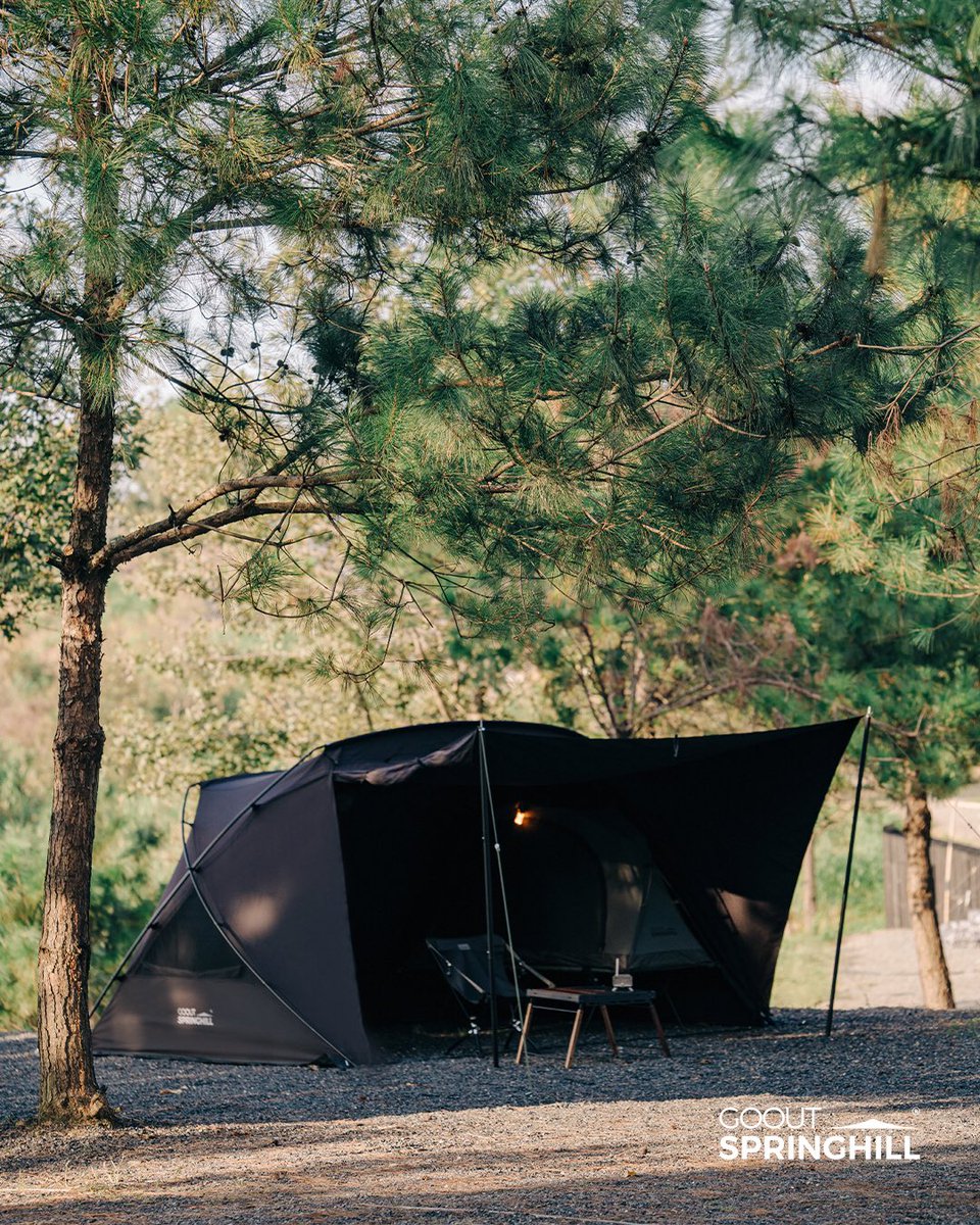 gooutspringhill (@gooutspringhill) / Posts / X