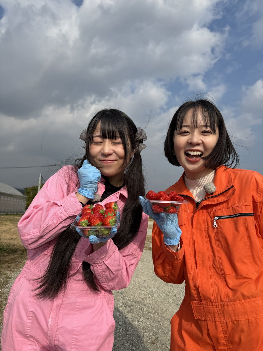 みっちゃん (@mitutomochannel) / Posts / X