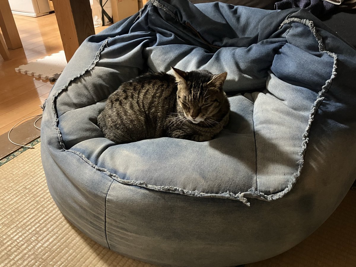 ヤマYama (@kazuki7344) / Posts / X