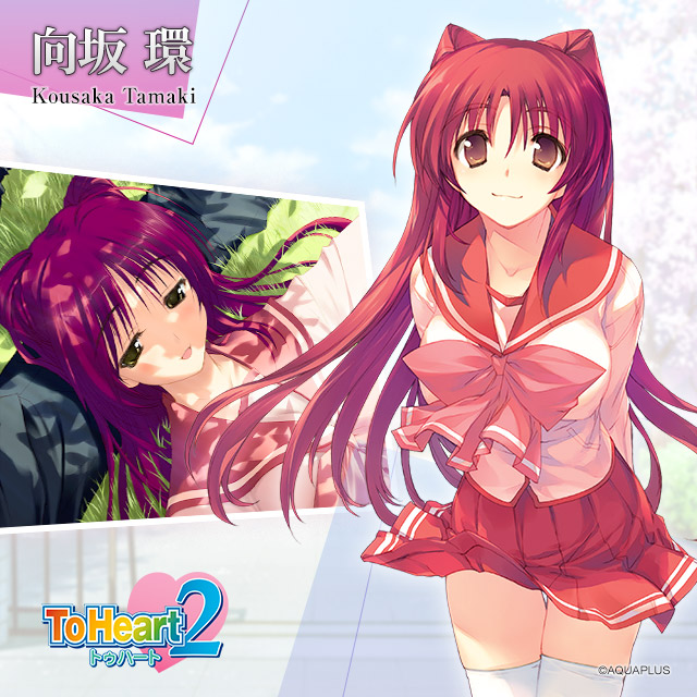 ToHeart2　アクアプラス 環』直筆サイン Lycee『向坂