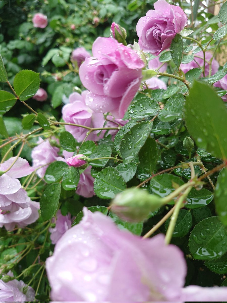 ᘛ⁠ᘛ⁠⁐̤⁠ᕐ⁠𓈒ᘛ⁠ 適度に潤わしたら ᘛ⁠ᘛ⁠⁐̤⁠ᕐ⁠𓈒ᘛ⁠ ᘛ⁠ᘛ⁠⁐̤⁠ᕐ