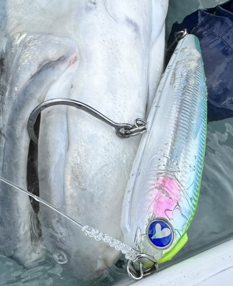 スカイグレイルアーセット スカイグレイ | 長谷川釣具の通販