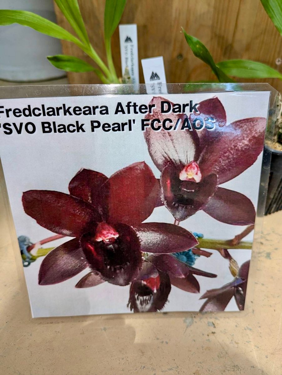 ガーデンセンター瑞穂店】 #サイエンスファーム 様より納品して頂いた