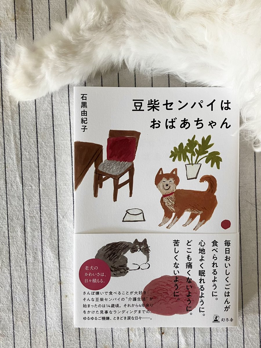 石黒由紀子 (@yukikoishiguro) / Posts / X