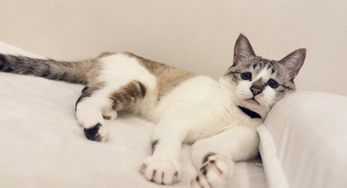 みんとのここ、あいてますよ