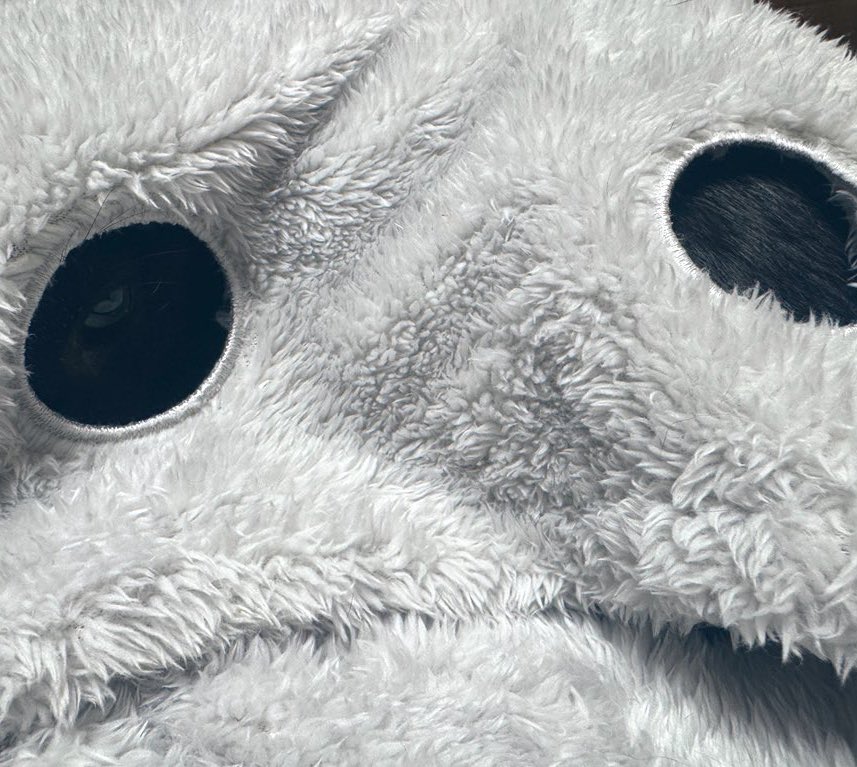 昨日、ニトリデコホームの着る毛布にゃんぽけを買ったんだけど、うちの