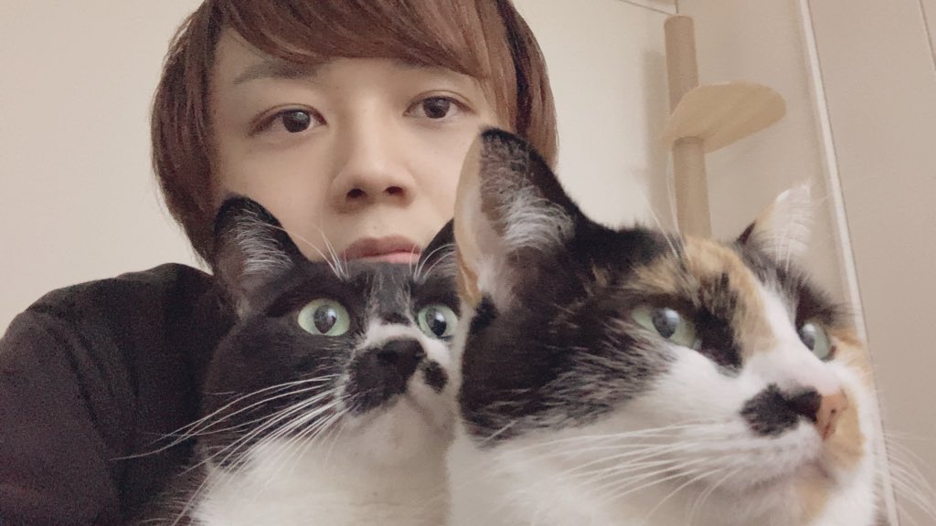 しげしげ🐈🐈‍⬛ (@sgkz_tdr) / Posts / X