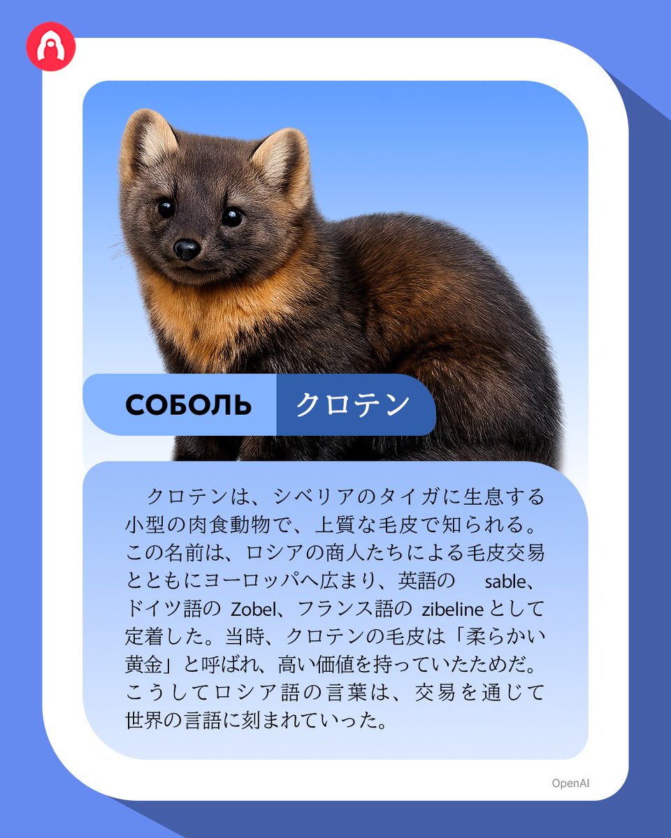 ロシア・ナビ 日本 (@roshiaNOW) / Posts / X