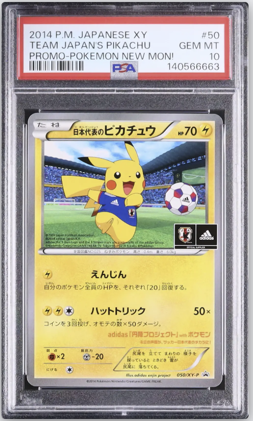 ◇ ── ✦ ── ◇ ── ✦ ── ◇ ── ✦ ── ◇ ✧ 本日の