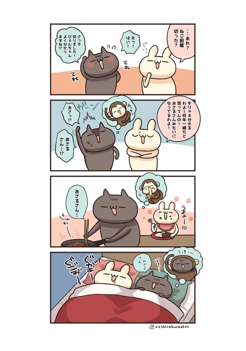 つい最近の出来事🐰🐱(🐵) #うさぎのしろとねこのくろ