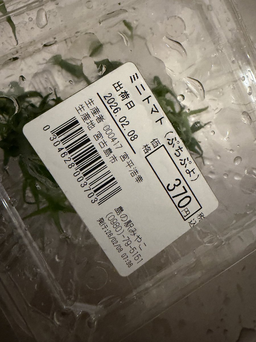 宮古島で食べたミニトマト 品種がぷちぷよ？ さくらんぼ🍒みたいに