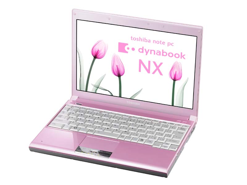 東芝、実売20万円の128GB SSD搭載12.1型モバイル「dynabook NX」