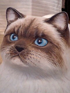 宮地 乃梨子さんの猫 : み～つけた