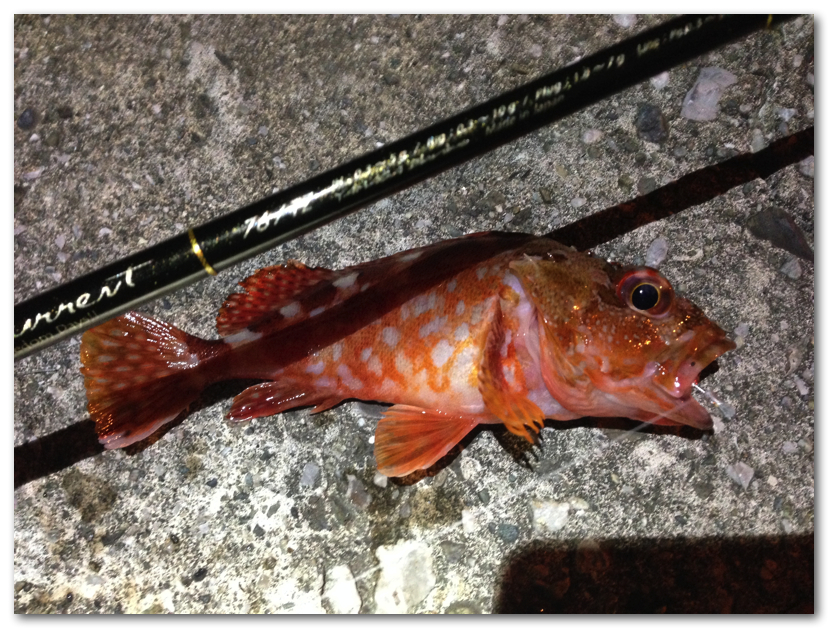 ブルーカレント76/TZを振ってきた。: P's factory