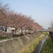 CASIO(カシオ)のデジタルカメラEXILIM ZOOM EX-Z57 で撮影した写真