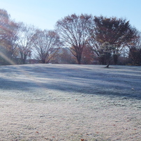 SONY(ソニー)のデジタルカメラサイバーショット DSC-TX5 で撮影した