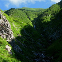 CANON(キヤノン)のデジタルカメラPowerShot A520 で撮影した写真(画像