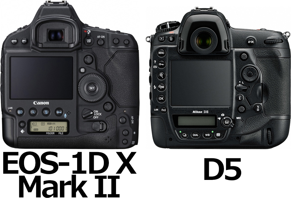 EOS-1D X Mark II」と「D5」の違い - フォトスク