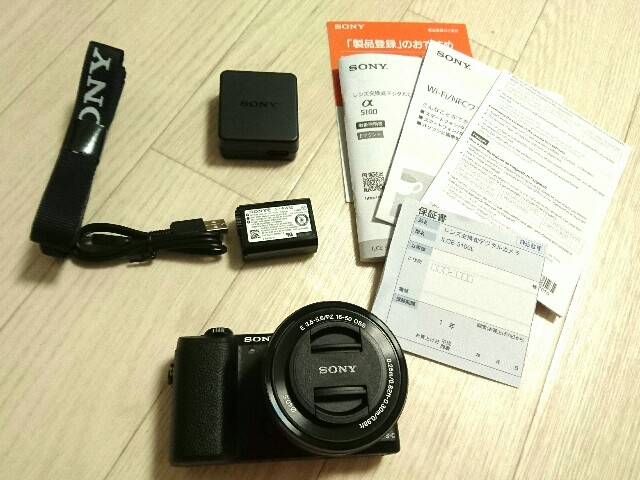 初心者必見！ソニーのミラーレスカメラα5100 をレビュー！ | Picky's