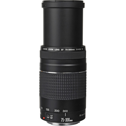 Canon EF 75-300mm f/4-5.6 III Lens (Black) + 500mm Preset Lens +