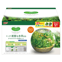 MeGreen 新鮮な水草付き グラスアクアティアーセット | ジェックス株式会社