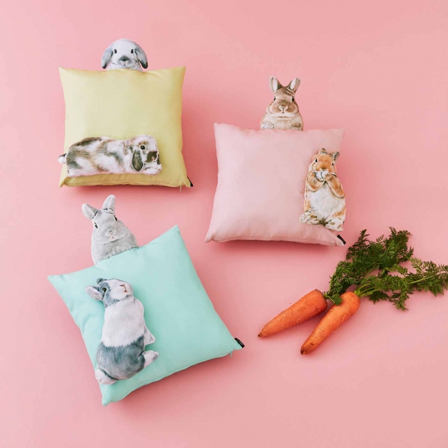 しあわせのうさぎまみれ「ぴょこっと顔出す うさぎとくつろぐ