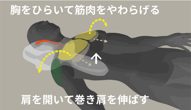 日本初上陸！テレワーク・スマホ時代の姿勢メンテナンスまくら