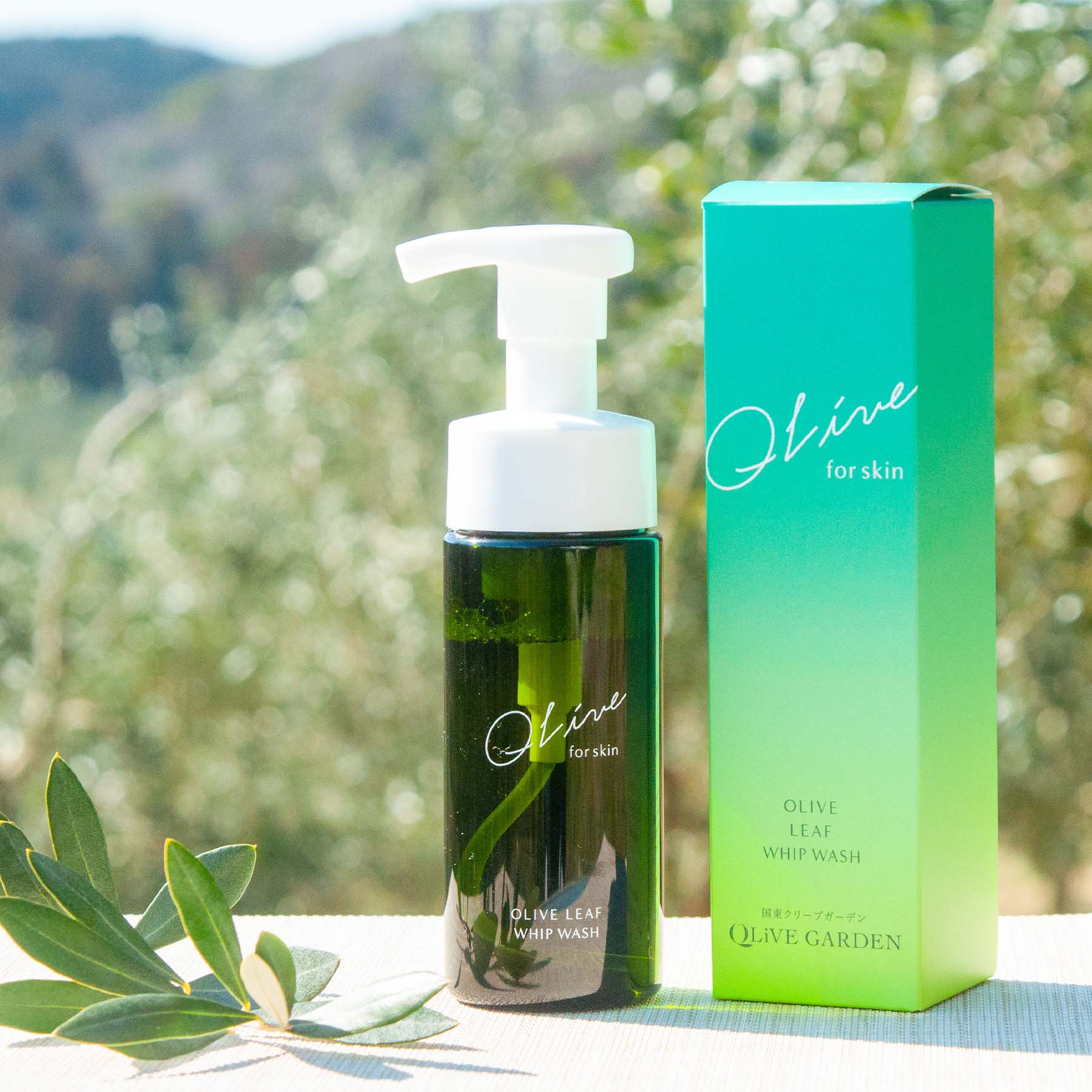 Qlive for skin オリーブリーフ ホイップ ウォッシュ – 国東クリーブ
