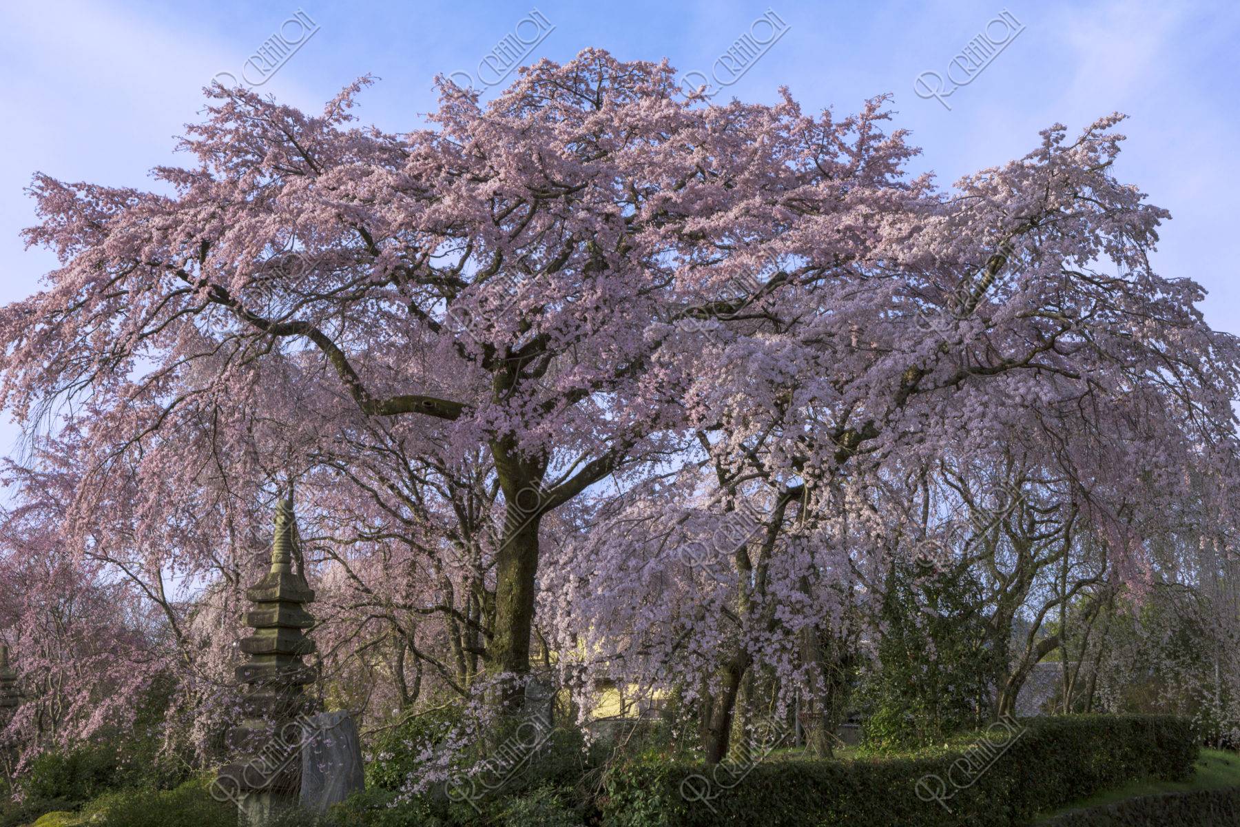 佐野藤右衛門邸 | 写真 | アールクリエーション