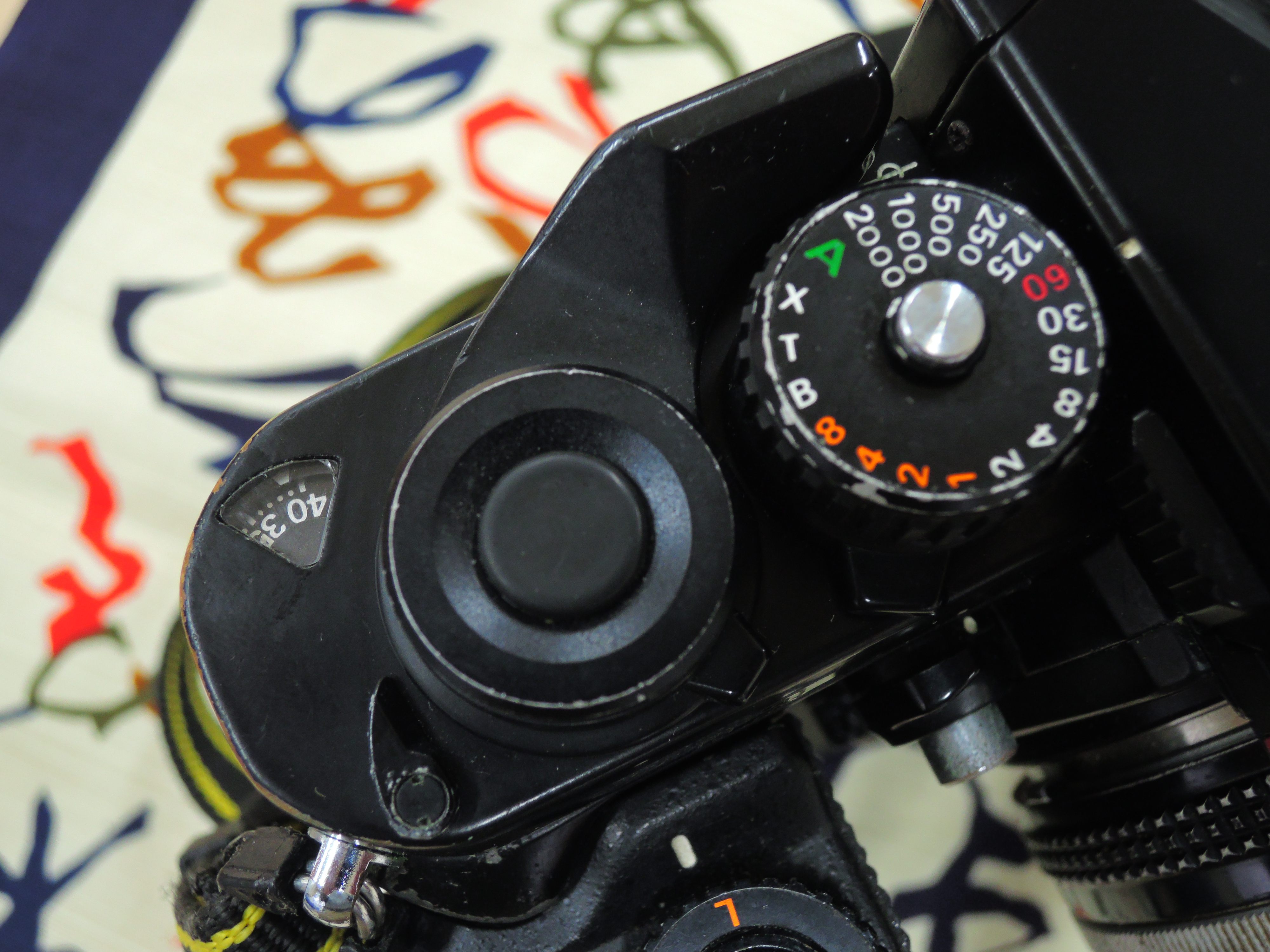 April 2024, Nikon Kenkyukai