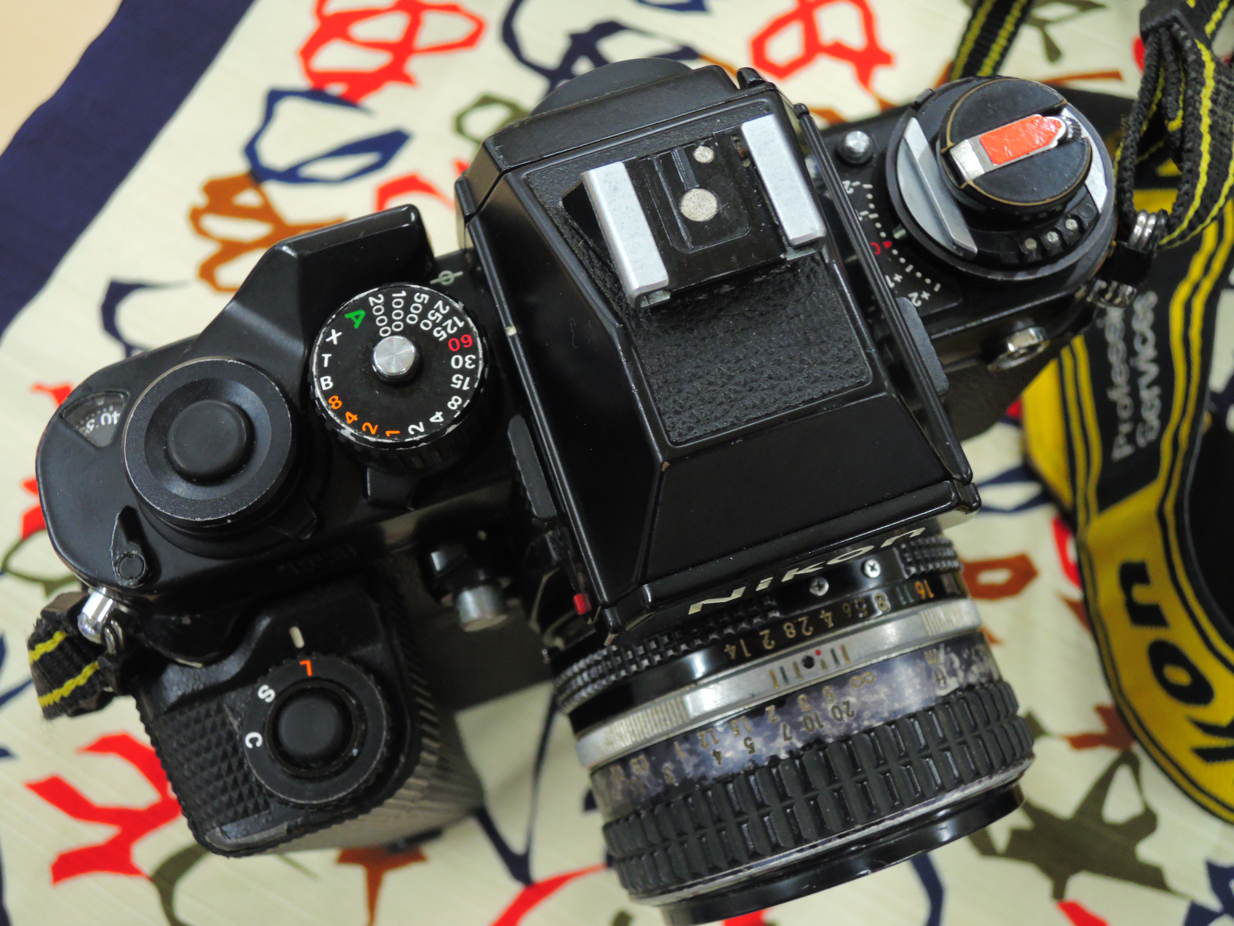 April 2024, Nikon Kenkyukai