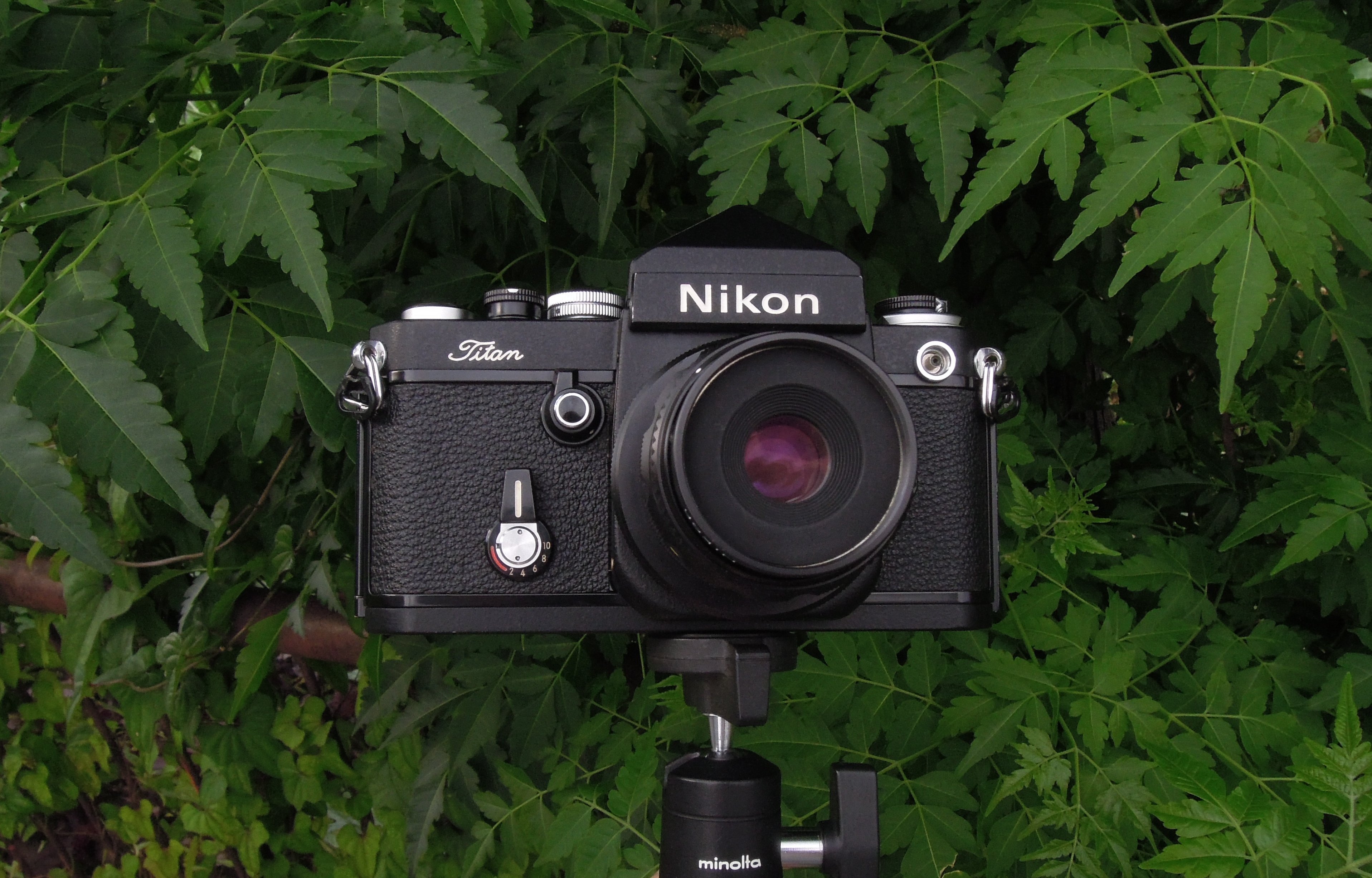 MACRO Nikkor 65mm F4.5 Science Dream